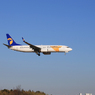 「SKY」MONGOLIAN 737-8AL  JU-1088  Landing
