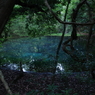 早朝の丸池様の青2