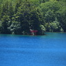 青い池　赤い鳥居　緑の森　光の三原色ヽ(´ー｀)ノ