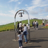 緑のコキア　ひたち海浜公園