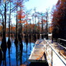 George L Smith State Park