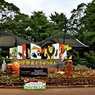 ちょっと早いけど　2019年版ハロウィーン(野毛山動物園バージョン)ー１