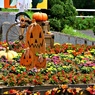 ちょっと早いけど　2019年版ハロウィーン(野毛山動物園バージョン)ー２