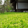 掛川16