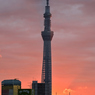 「日の出」DSC_4276