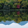 湖面の紅葉と知床連山