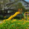 公園のメランポジウム