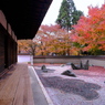 禅寺の秋