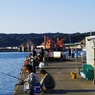 photo_988779