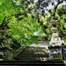 箱根山麓深森散歩：最乗寺瑠璃門