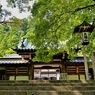 箱根山麓深森散歩：最乗寺瑠璃門