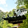 箱根山麓深森散歩