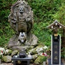 箱根山麓深森散歩:天狗様