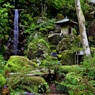 箱根山麓深森散歩:洗心の滝
