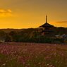 秋～夕焼けの三重塔
