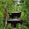 箱根山麓深森散歩:多宝塔