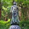 箱根山麓深森散歩:杉木立におわす十一面観音