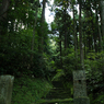 苔むす参道