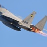 F-15J_306SQ_3168