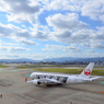 A350  JAL 06