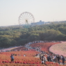 2020　ひたち海浜公園のコキアとコスモス