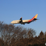 「蒼空」ASIANA 747-400 HL7417 ☀ 到着です