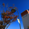 清水9