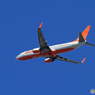 「青い空」が一番 JEJU 737 HL8090  Takeoff