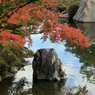 三景園(3) 201030-133