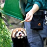 Oh！ジューシー(・∀・)