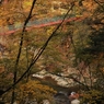 川俣温泉の小さなつり橋