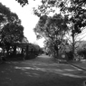 公園ややアジェ