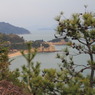 直島の海