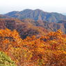 川苔山