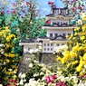 小田原城菊尽くし①