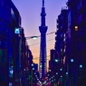 『夜明けの「かっぱ橋本通り」』 