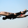 「SKY」動物愛護機エミレーツA380 A6-EOM  Landing