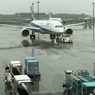 「SKY」？　だが　羽田は雨でした