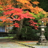 今高野山紅葉(5) 201106-253