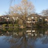 石神井公園