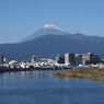 沼津から富士山