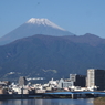 沼津から富士山
