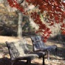 紅葉　ちょっと古いAFレンズで