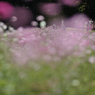 autumn for tokyoites 2020