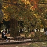 秋の公園