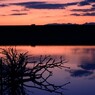 お家へ帰ろう　ー有明海の情景４ー