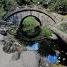 小石川後楽園　円月橋