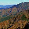 奥の院方面の錦秋紅葉③