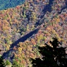 奥の院方面の錦秋紅葉④