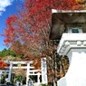 三峯神社鳥居①